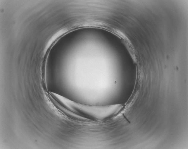 X0000052651138200507221835