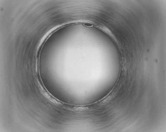 X0000052651140200507221835