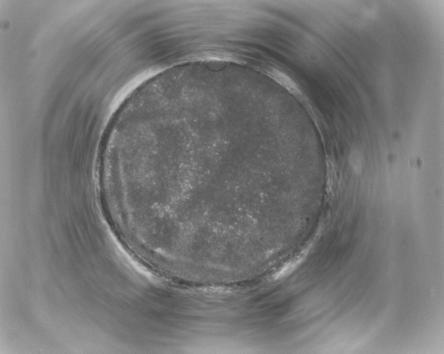 X0000052651141200507221835