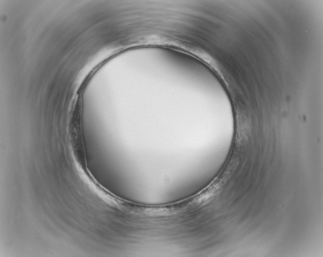 X0000052651142200507221835