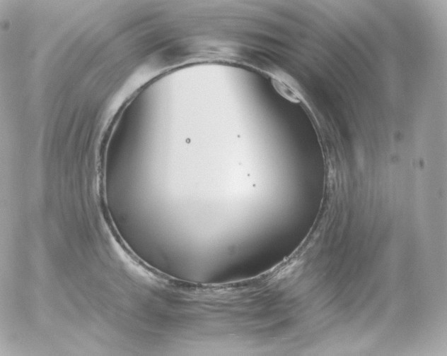 X0000052651143200507221835