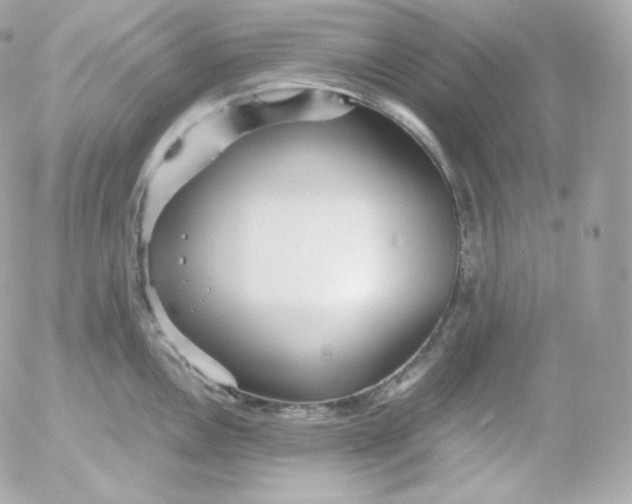 X0000052651146200507221835