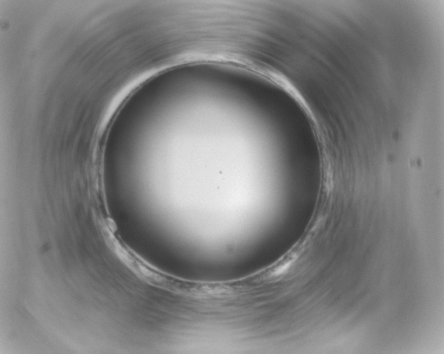 X0000052651148200507221835