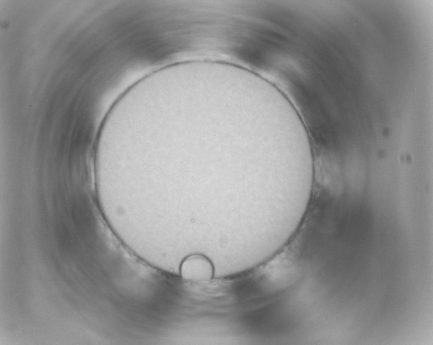 X0000052651150200507221835