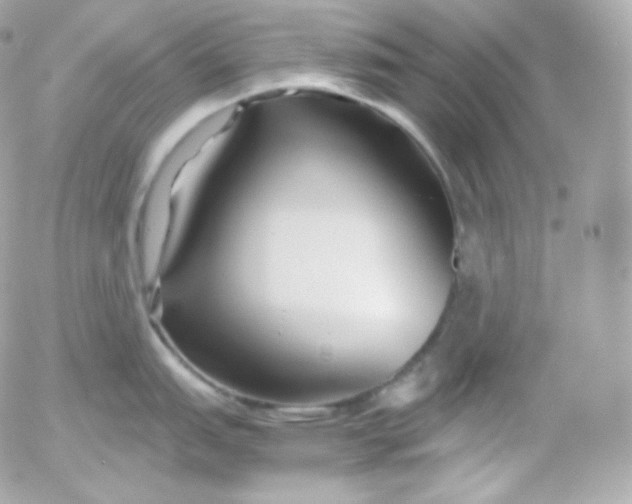 X0000052651151200507221835