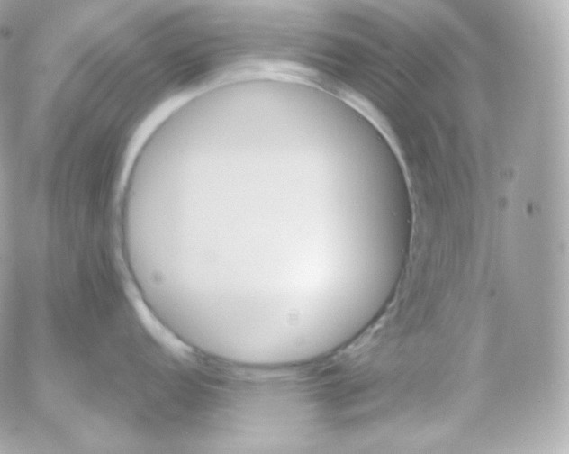 X0000052651152200507221835