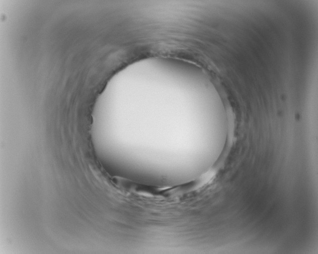 X0000052651153200507221834