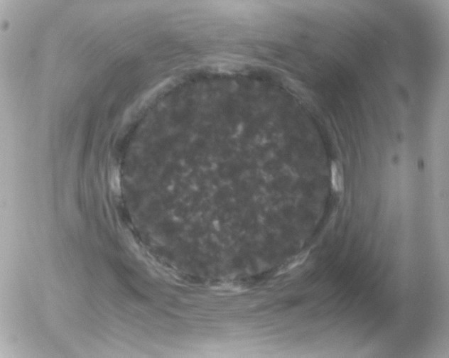 X0000052651155200507221834