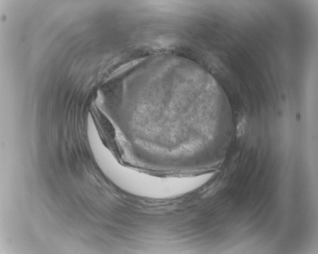 X0000052651156200507221834