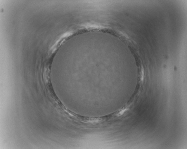 X0000052651157200507221834