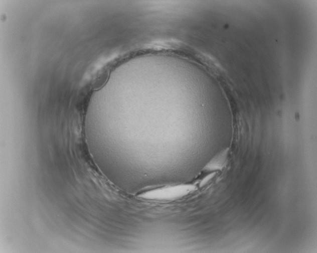 X0000052651158200507221834