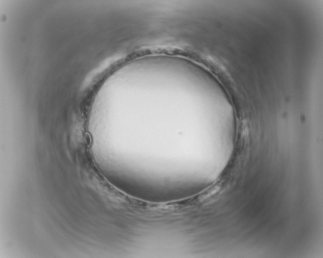 X0000052651159200507221834