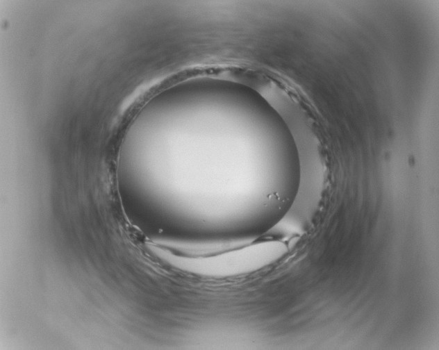 X0000052651160200507221834