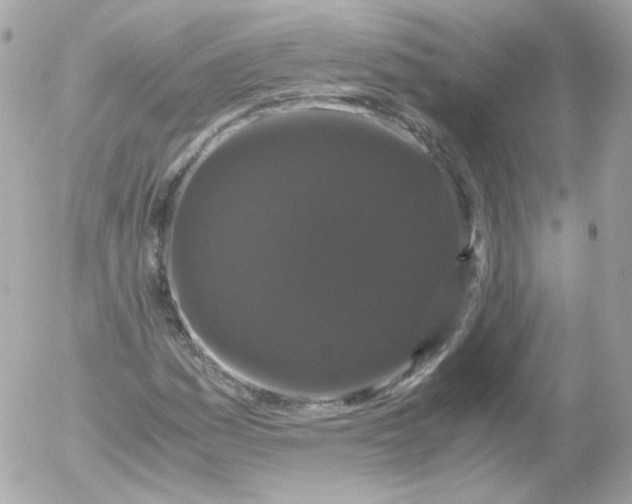 X0000052651161200507221834