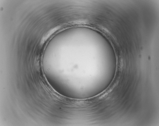 X0000052651162200507221834