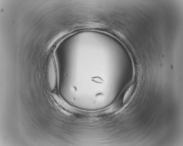 X0000052651163200507221834