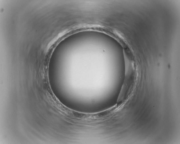 X0000052651165200507221834