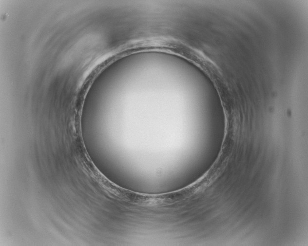 X0000052651166200507221834