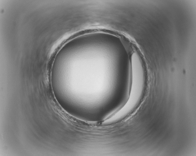 X0000052651167200507221834