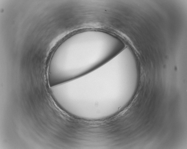 X0000052651168200507221834