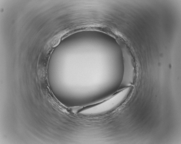 X0000052651169200507221834