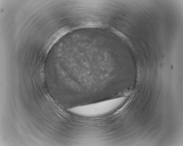 X0000052651170200507221834