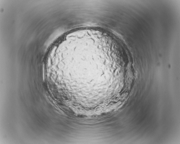 X0000052651171200507221834