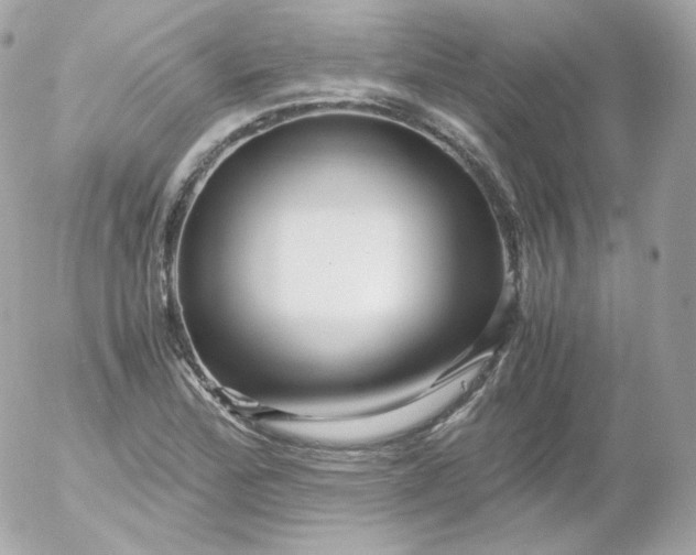 X0000052651172200507221834