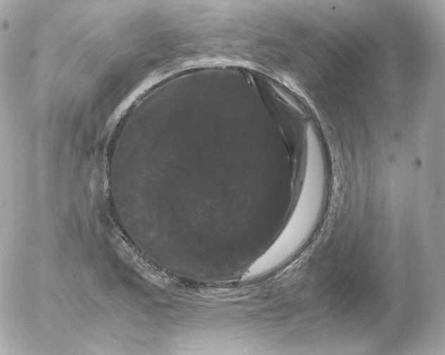 X0000052651173200507221834