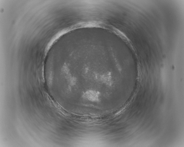 X0000052651174200507221834