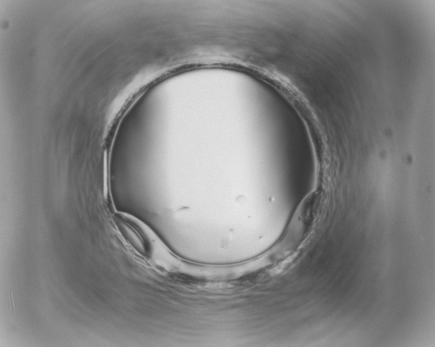 X0000052651175200507221834