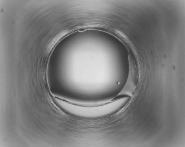 X0000052651177200507221834