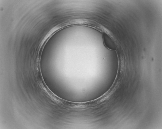 X0000052651178200507221834