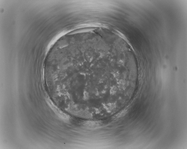 X0000052651179200507221834