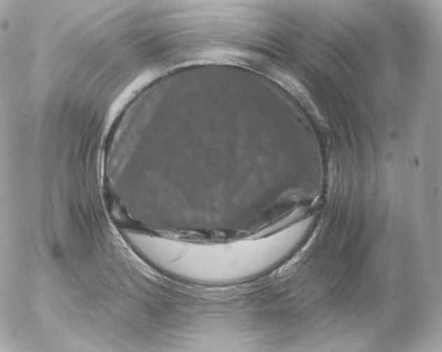 X0000052651180200507221834