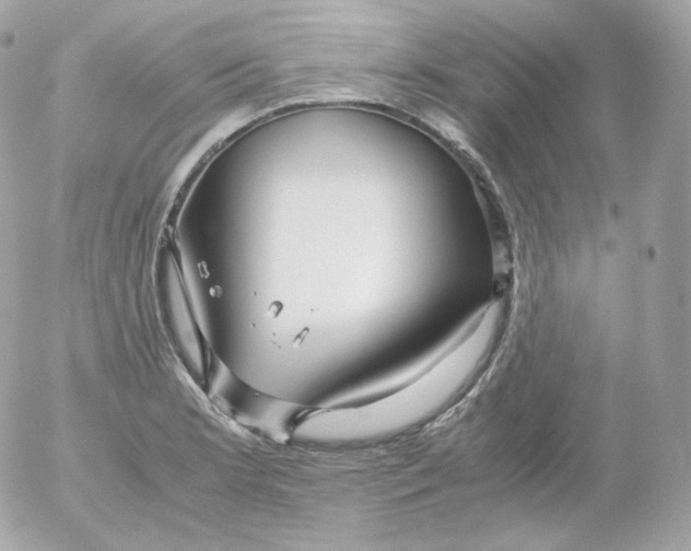 X0000052651181200507221834