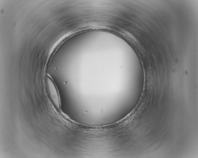 X0000052651182200507221834