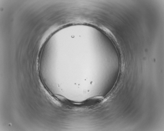 X0000052651183200507221834