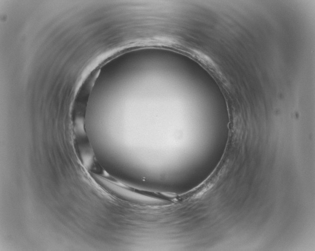 X0000052651184200507221834