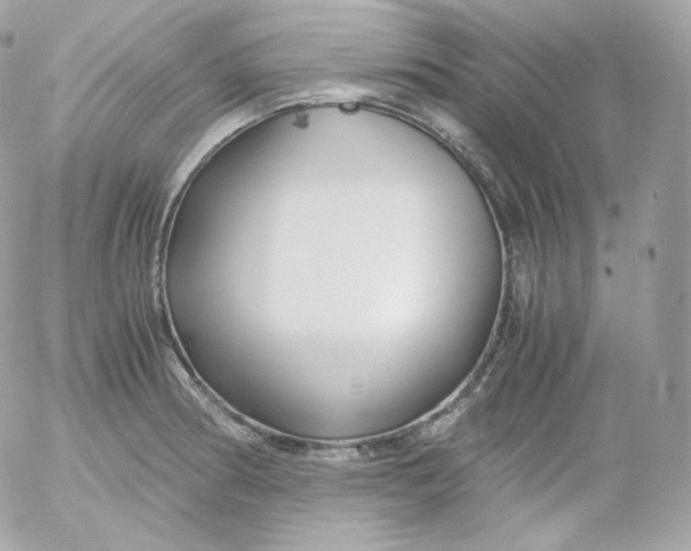 X0000052651186200507221834