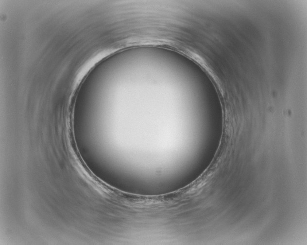 X0000052651187200507221834