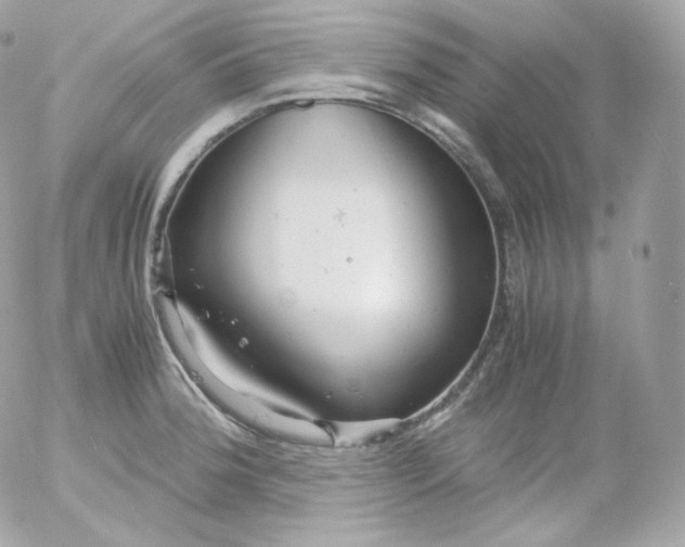 X0000052651188200507221834