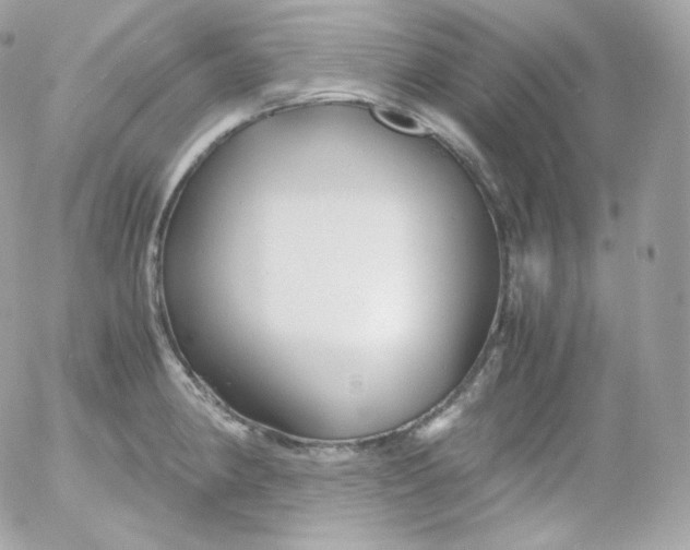 X0000052651190200507221834