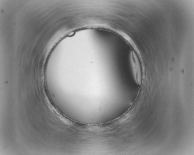 X0000052651191200507221834