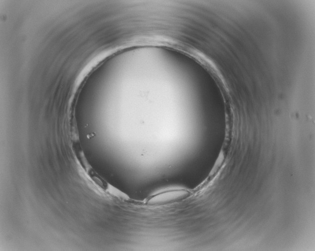 X0000052651192200507221834