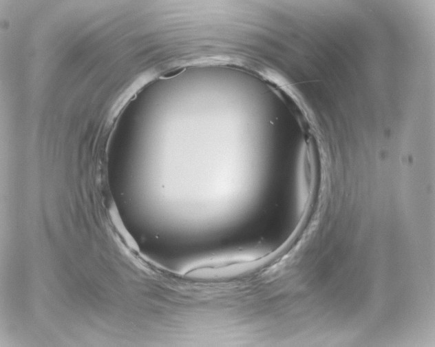 X0000052651193200507221834