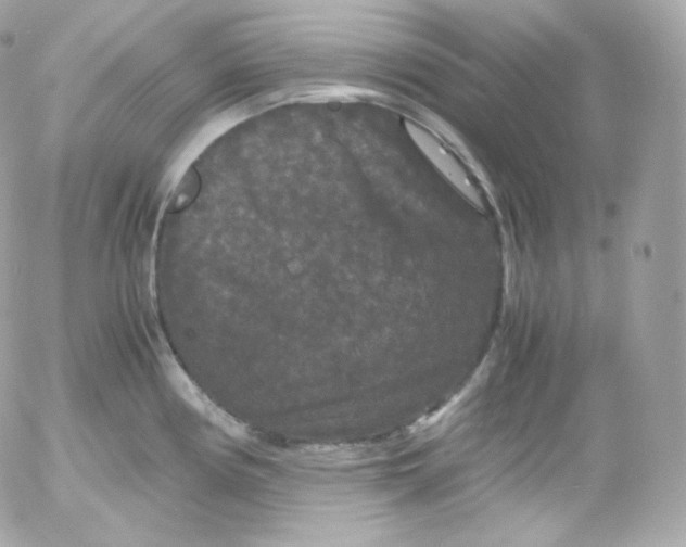 X0000052651194200507221833