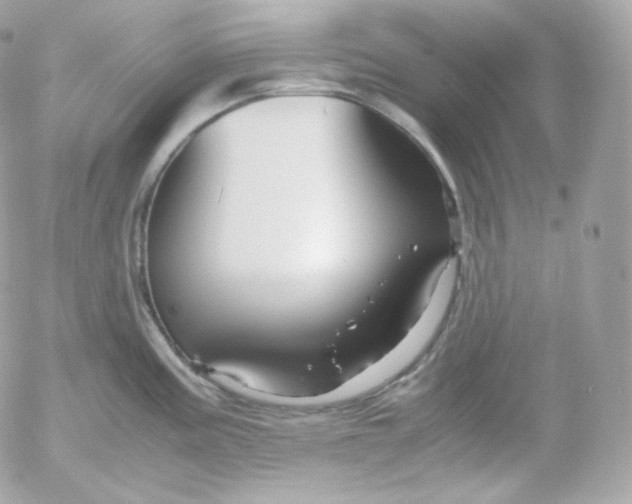 X0000052651195200507221833