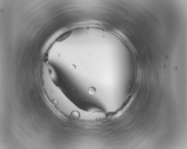 X0000052651196200507221833