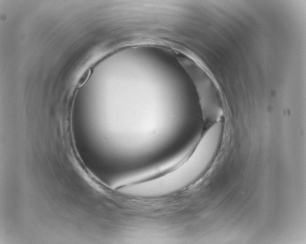 X0000052651197200507221833